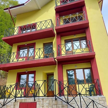 فندق سلانيك مولدوفافي  Vila Ioana المظهر الخارجي الصورة