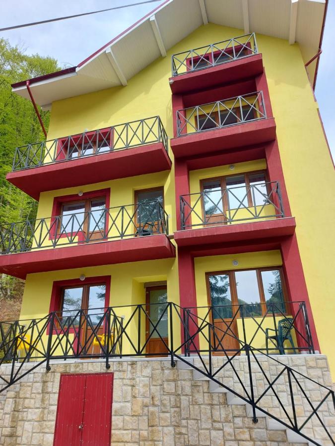 فندق سلانيك مولدوفافي  Vila Ioana المظهر الخارجي الصورة